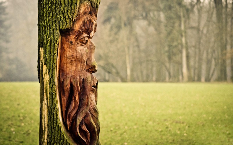 Kunstwerk im Baum